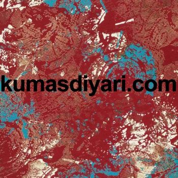 desenli kumaş 0583