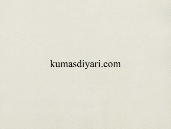 nubuk kumaş 015 kumasdiyari.com görseli