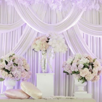 organizasyon etkinlik çalışma 1